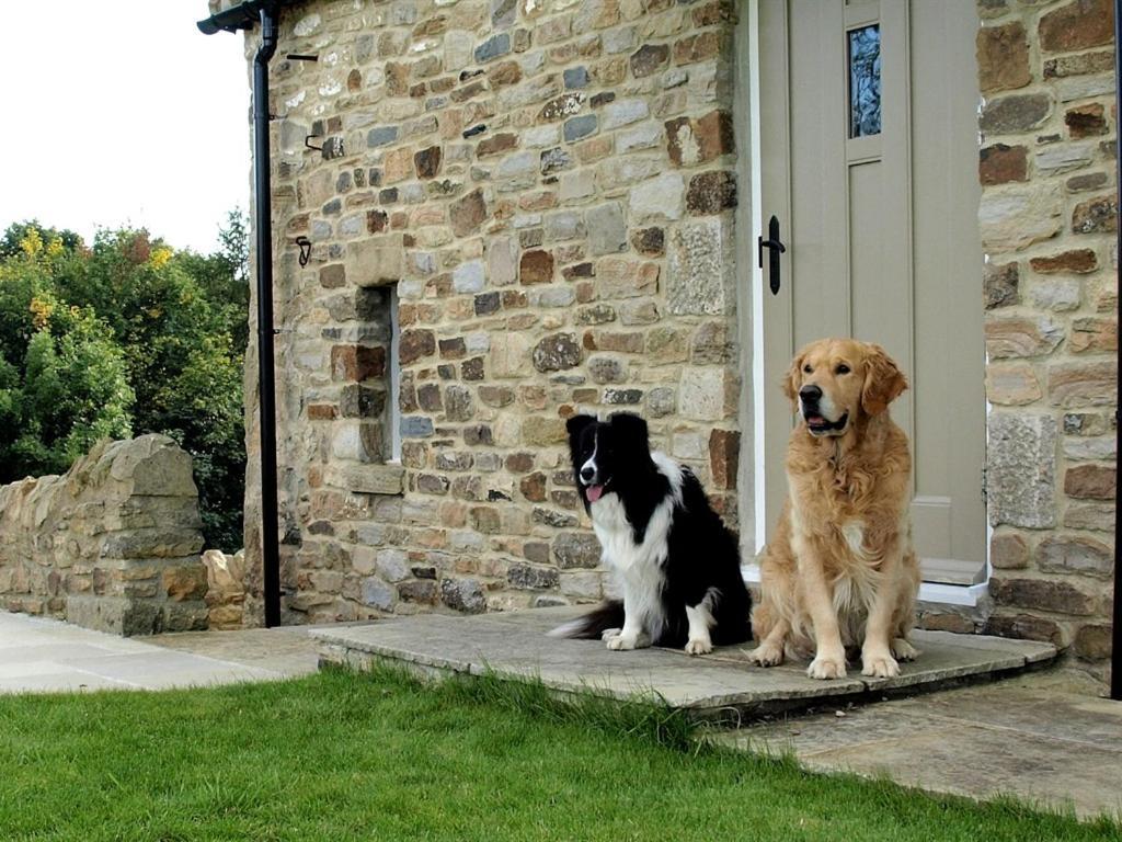 Plum Tree Cottage Witton le Wear Ruang foto